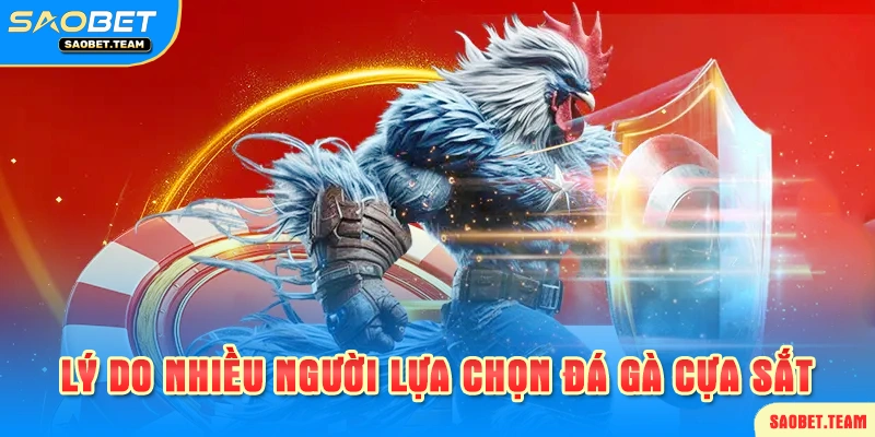 Giới thiệu đá gà cựa sắt saobet