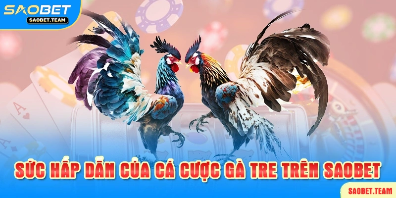 Vì sao nhiều anh em thích cá cược đá gà tre